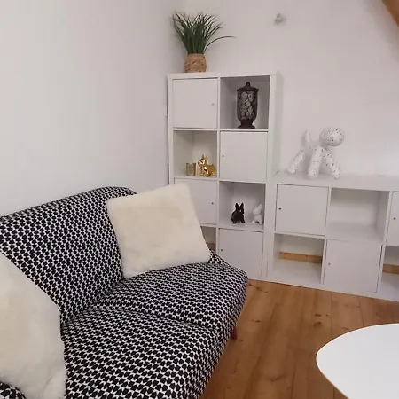 Maisonnette Avec Jardin Hyper Centre Daire Angers